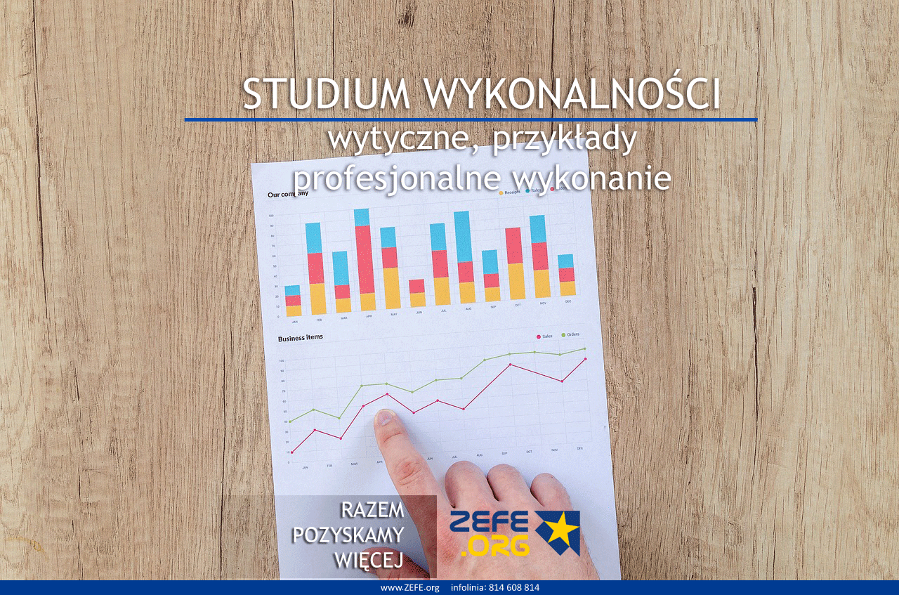 studium wykonalności